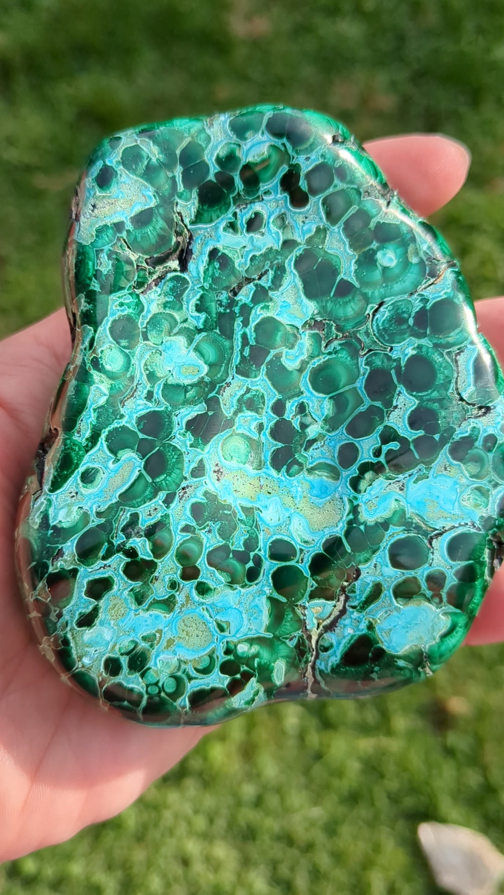 Malachite Chrysacolla Freeform