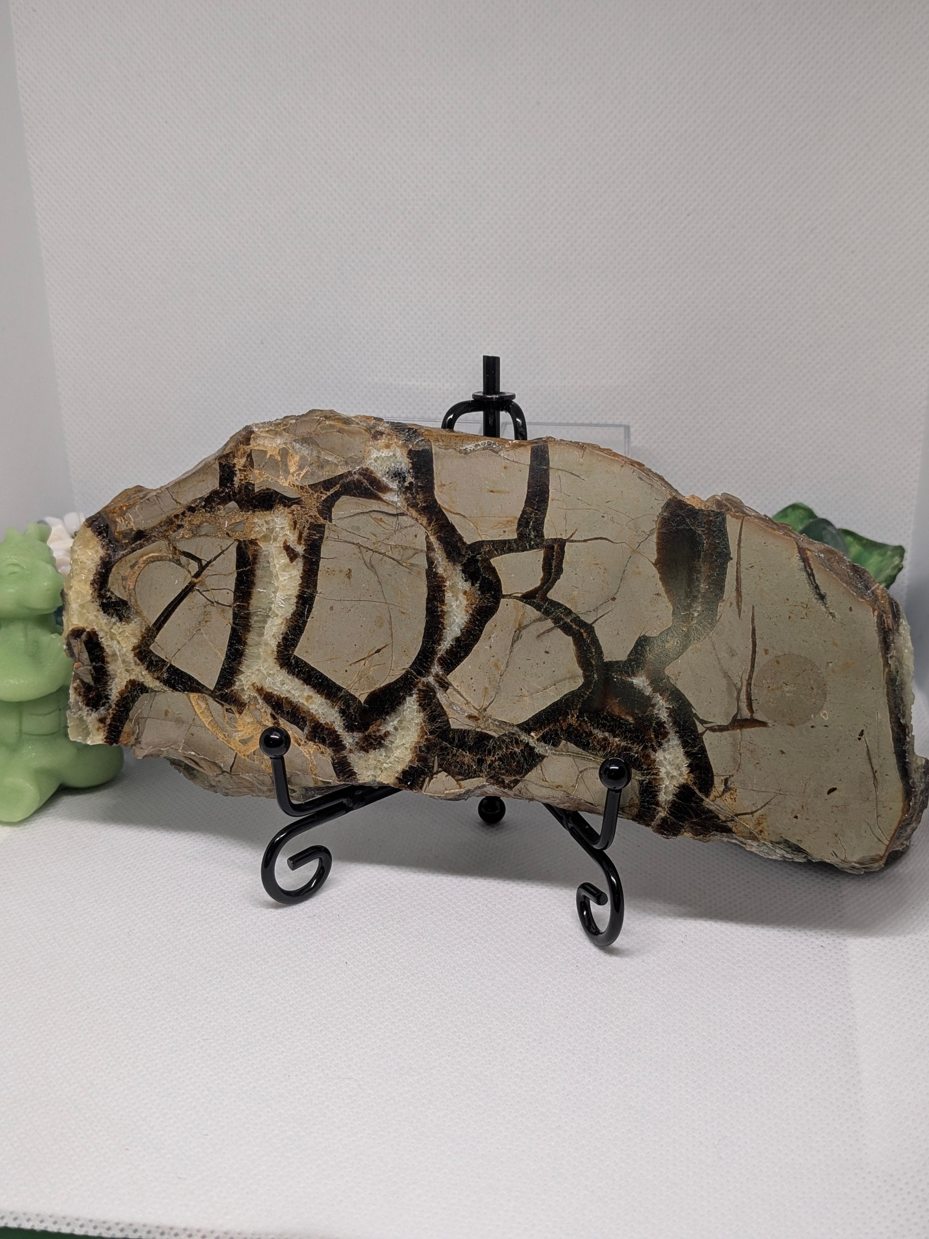 Septarian Slab