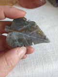 Moss agate leaf