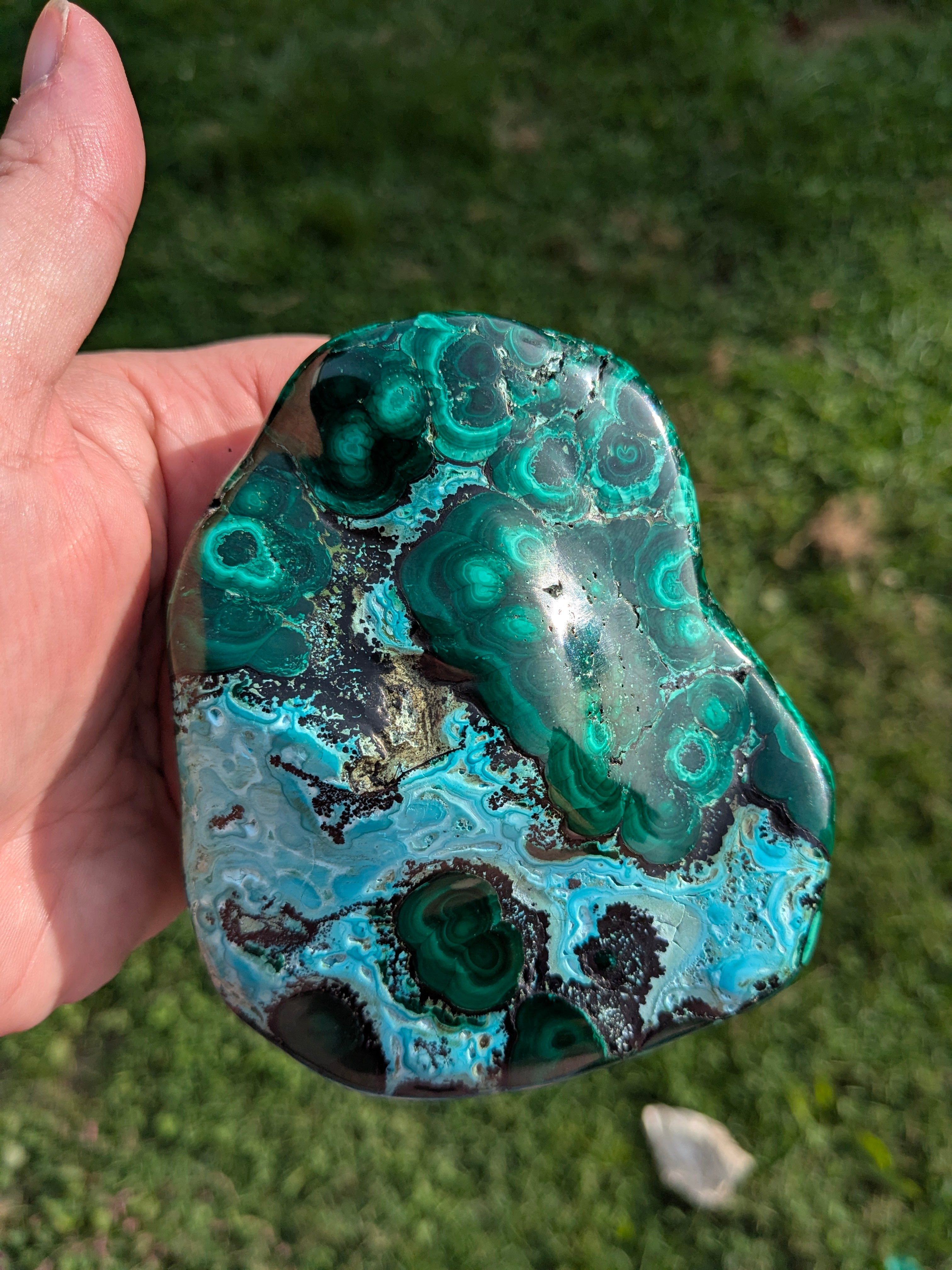Malachite Chrysacolla Freeform