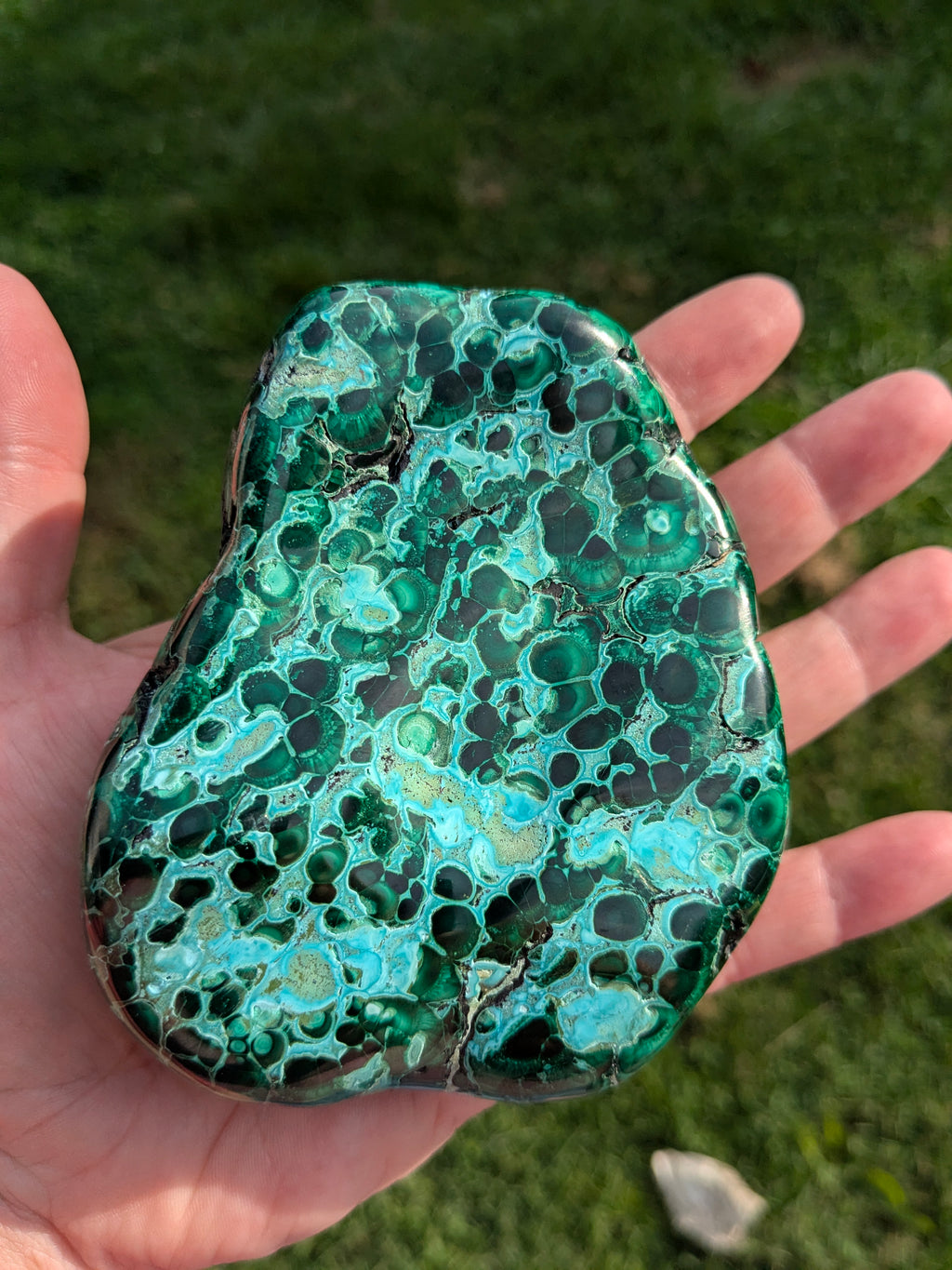 Malachite Chrysacolla Freeform