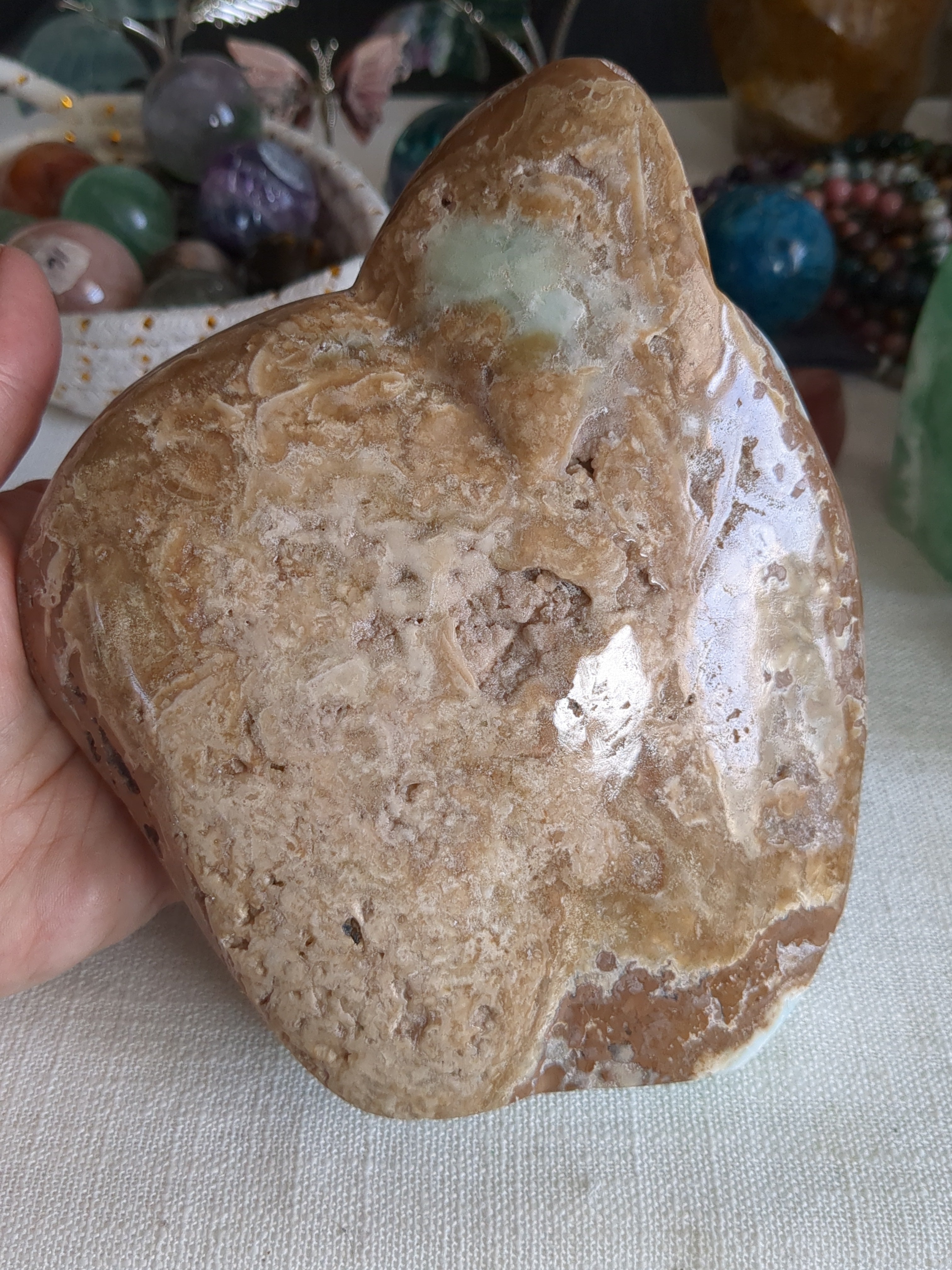 Extra Large Caribbean calcite freeform