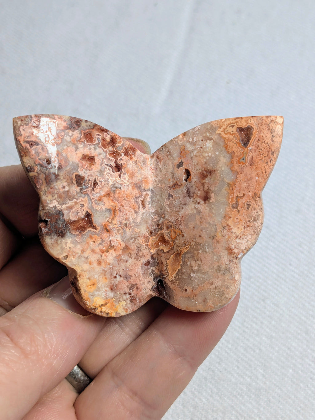 Butterfly - C