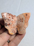 Butterfly - C