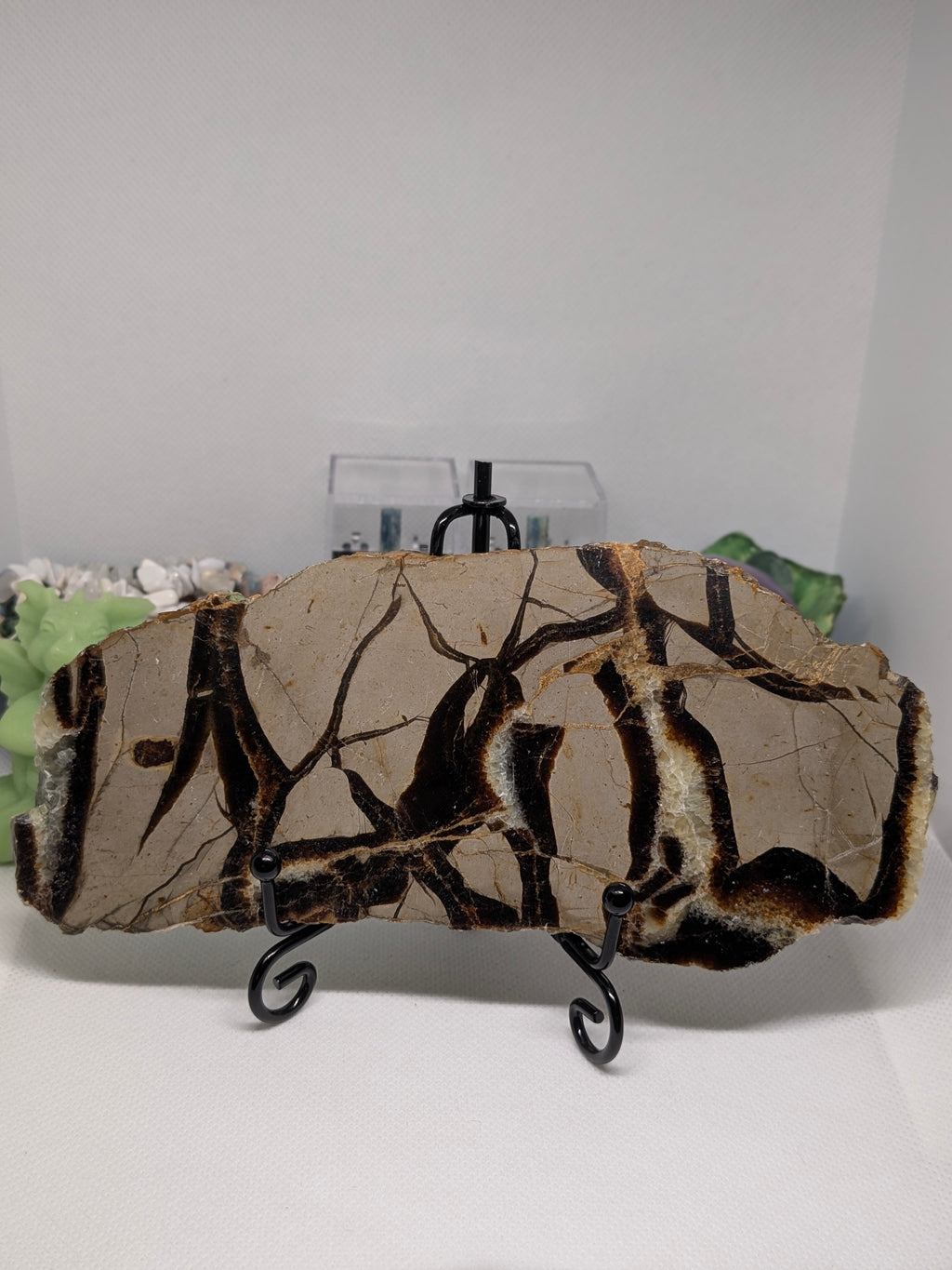 Septarian Slab