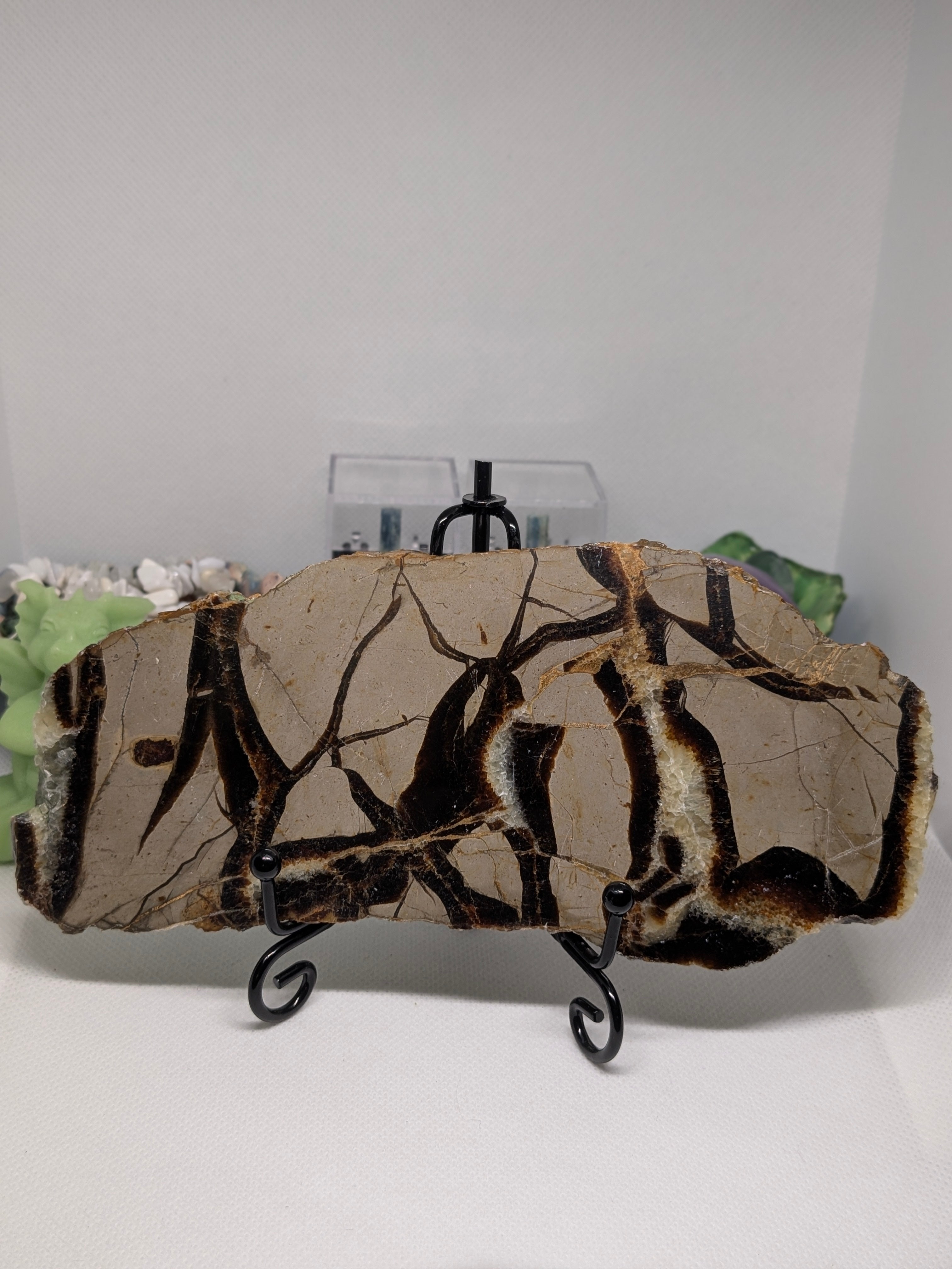 Septarian Slab